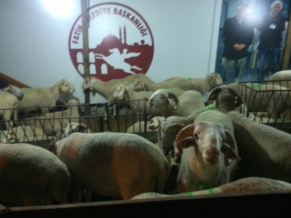 f:id:T_TAPER:20131015022300j:plain