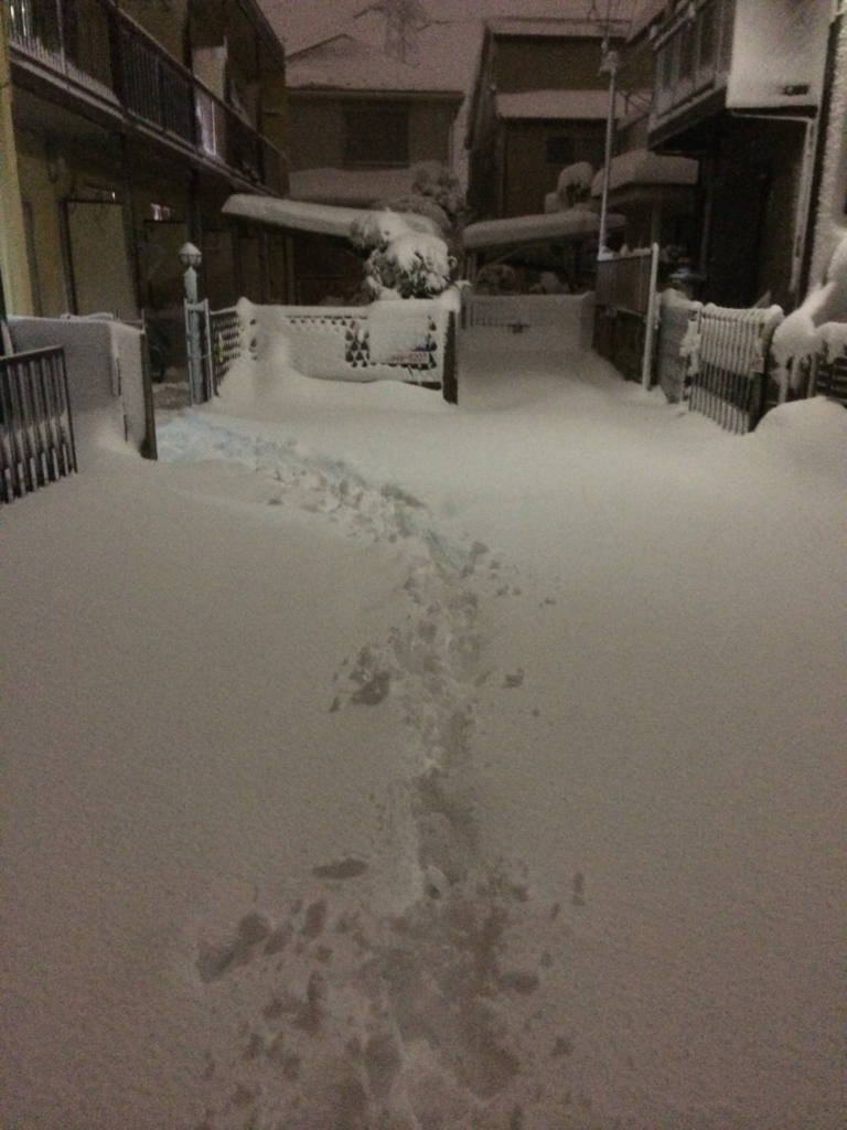 f:id:T_TAPER:20140208203618j:plain