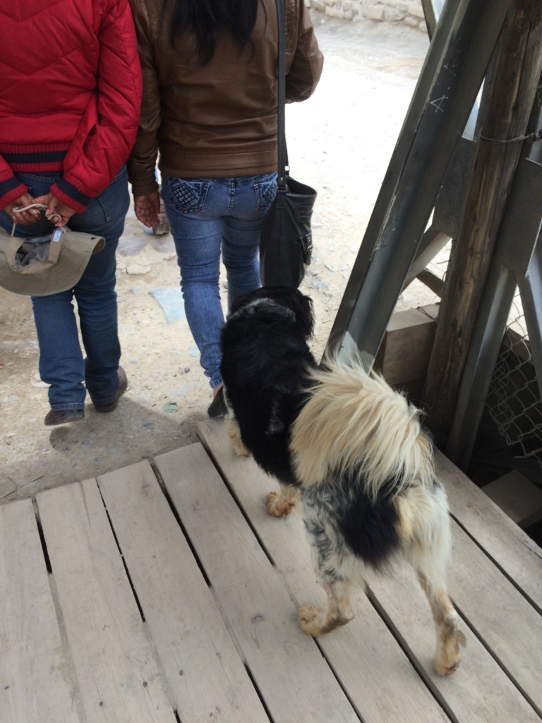 f:id:T_TAPER:20150227130849j:plain