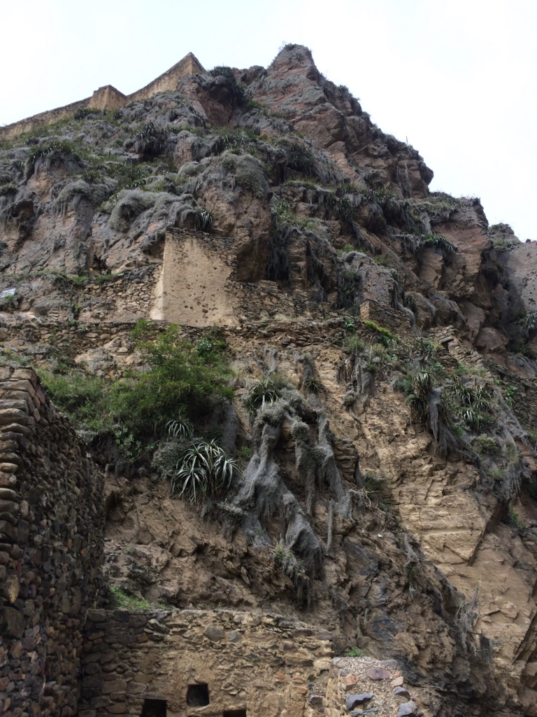 f:id:T_TAPER:20150227133426j:plain