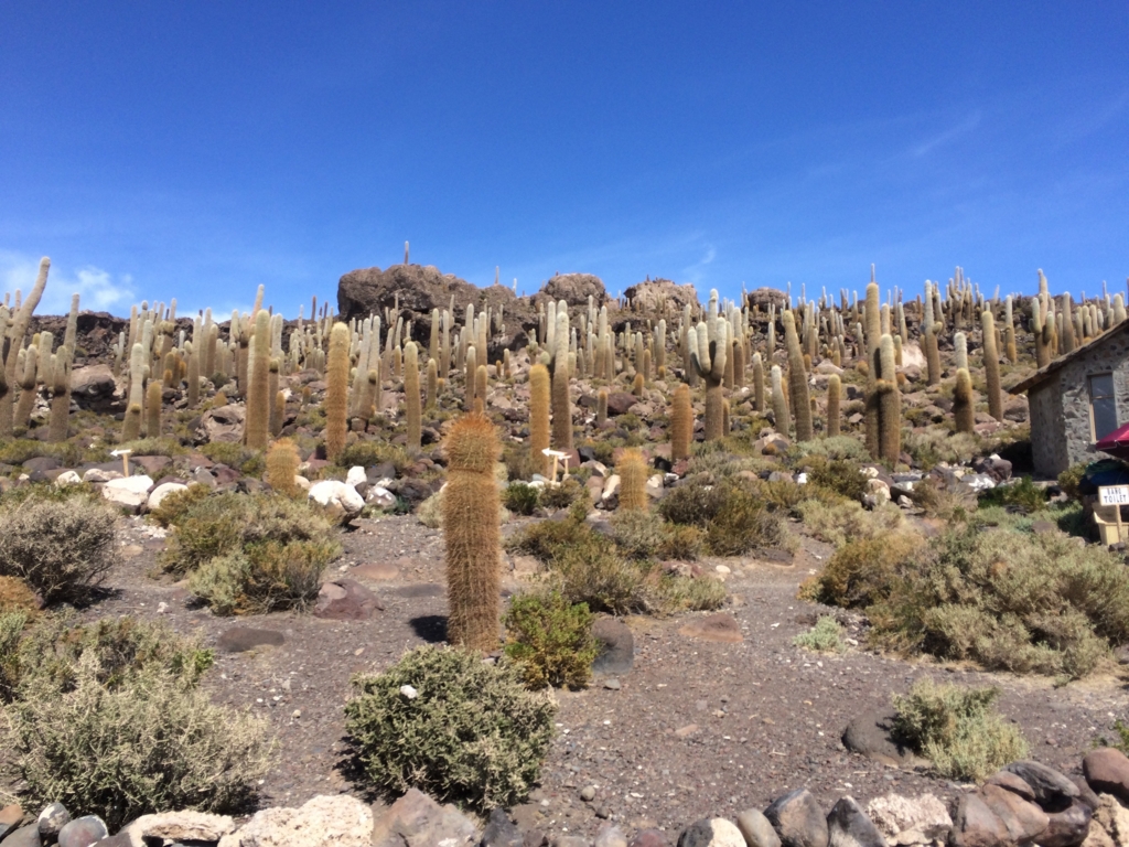 f:id:T_TAPER:20150304151124j:plain