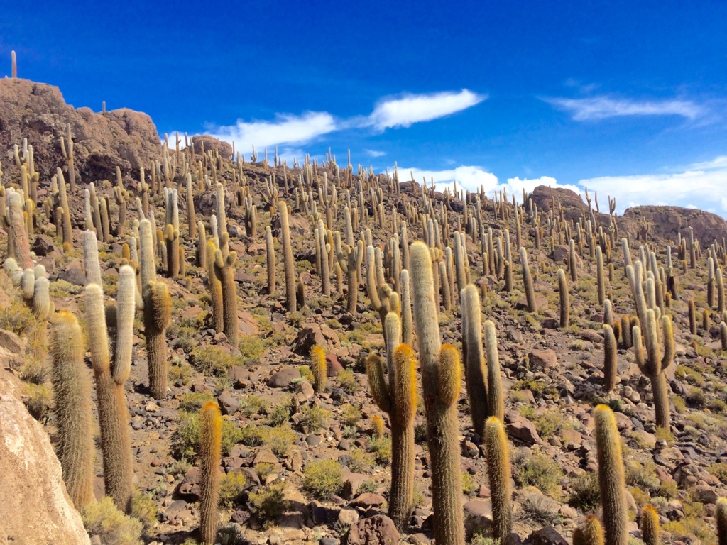 f:id:T_TAPER:20150304153029j:plain