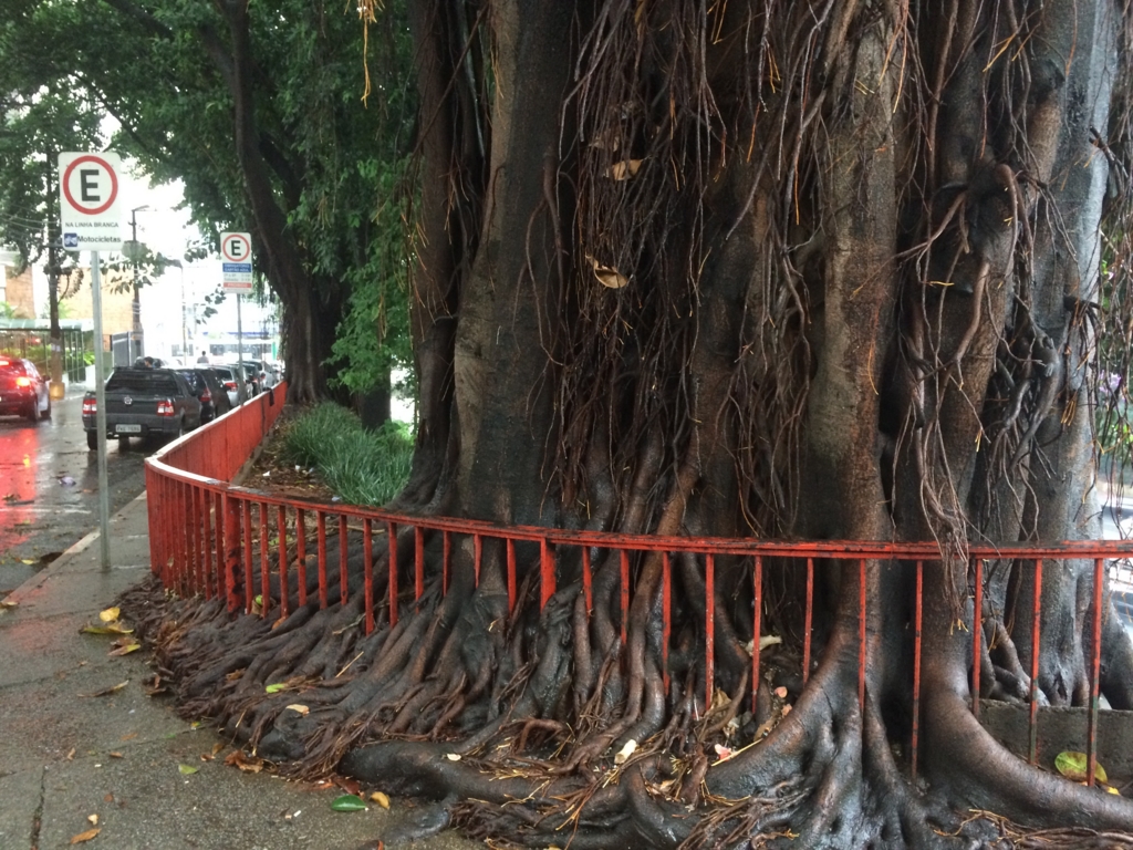 f:id:T_TAPER:20150307163133j:plain