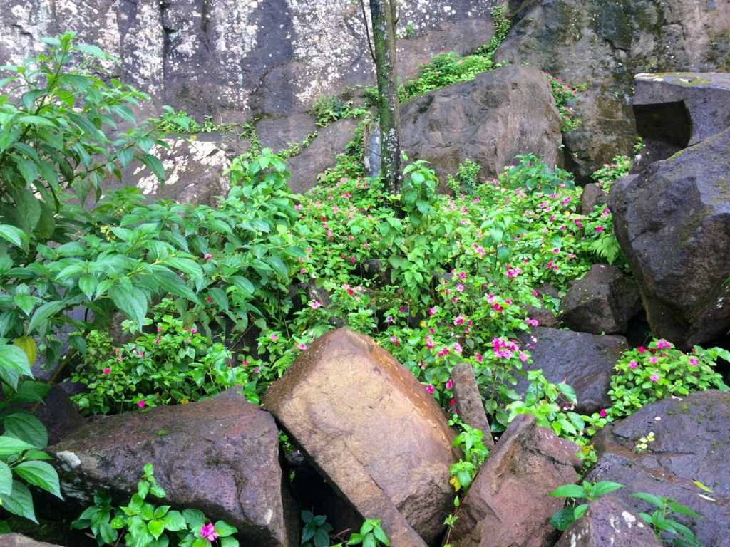 f:id:T_TAPER:20150308152049j:plain