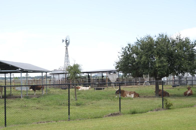 f:id:T_TAPER:20150430221841j:plain