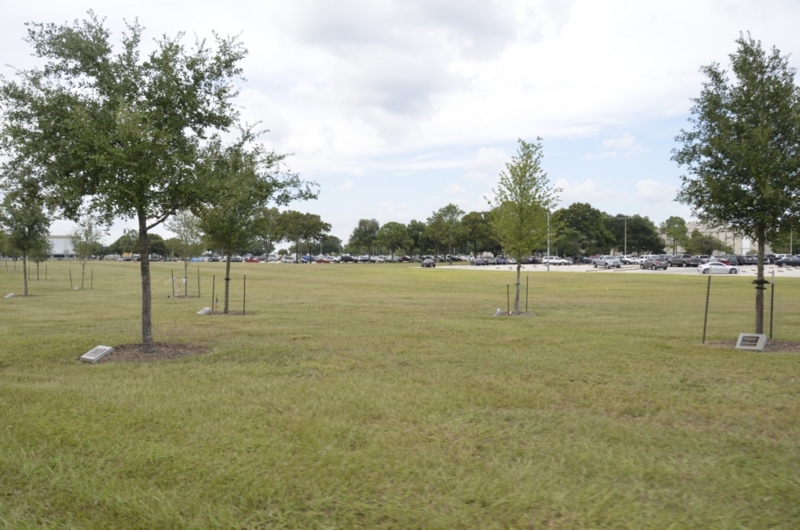 f:id:T_TAPER:20150430230812j:plain