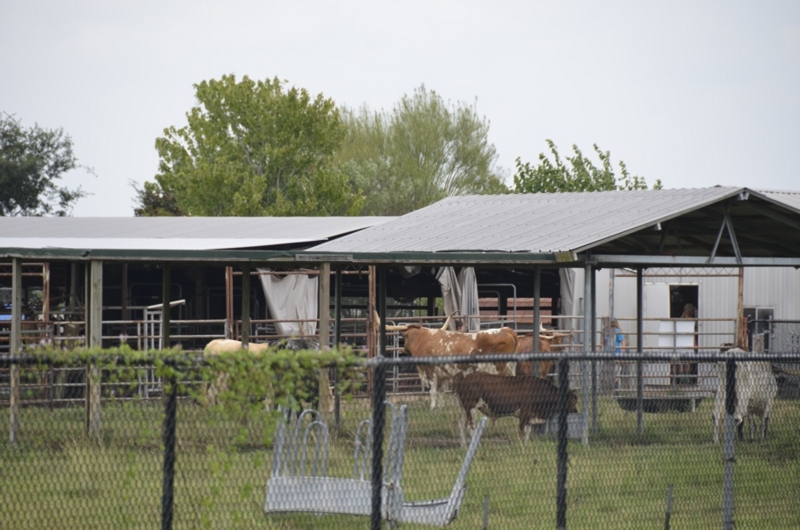 f:id:T_TAPER:20150501000545j:plain