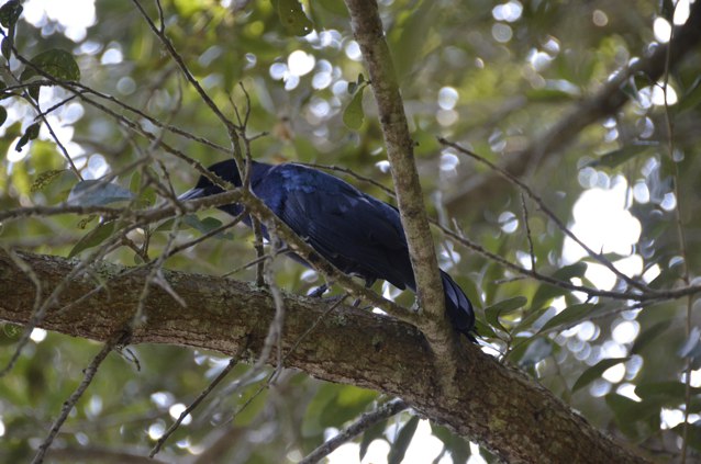 f:id:T_TAPER:20150601012126j:plain