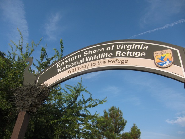 f:id:T_TAPER:20150628010427j:plain