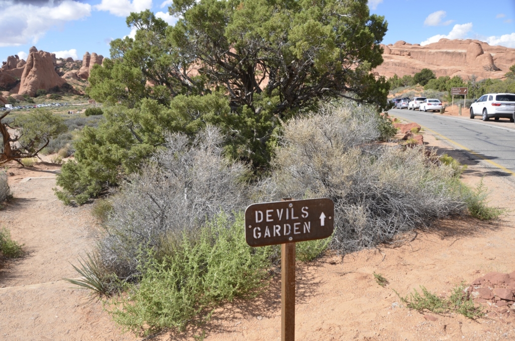 f:id:T_TAPER:20150727164158j:plain