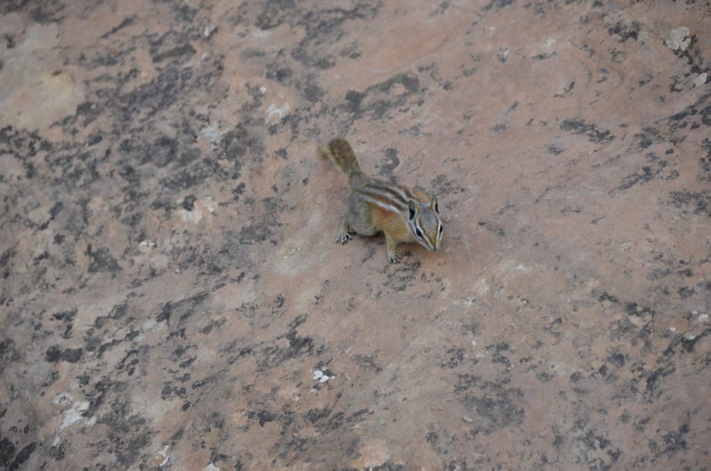 f:id:T_TAPER:20150727164426j:plain