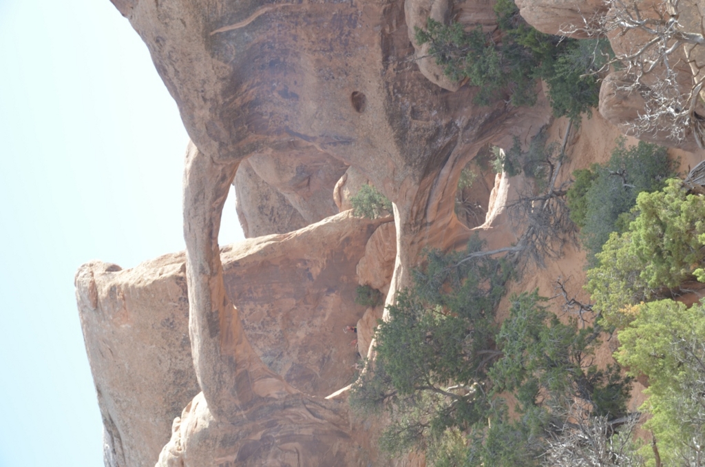 f:id:T_TAPER:20150727165703j:plain