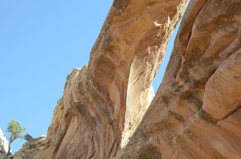 f:id:T_TAPER:20150727165724j:plain