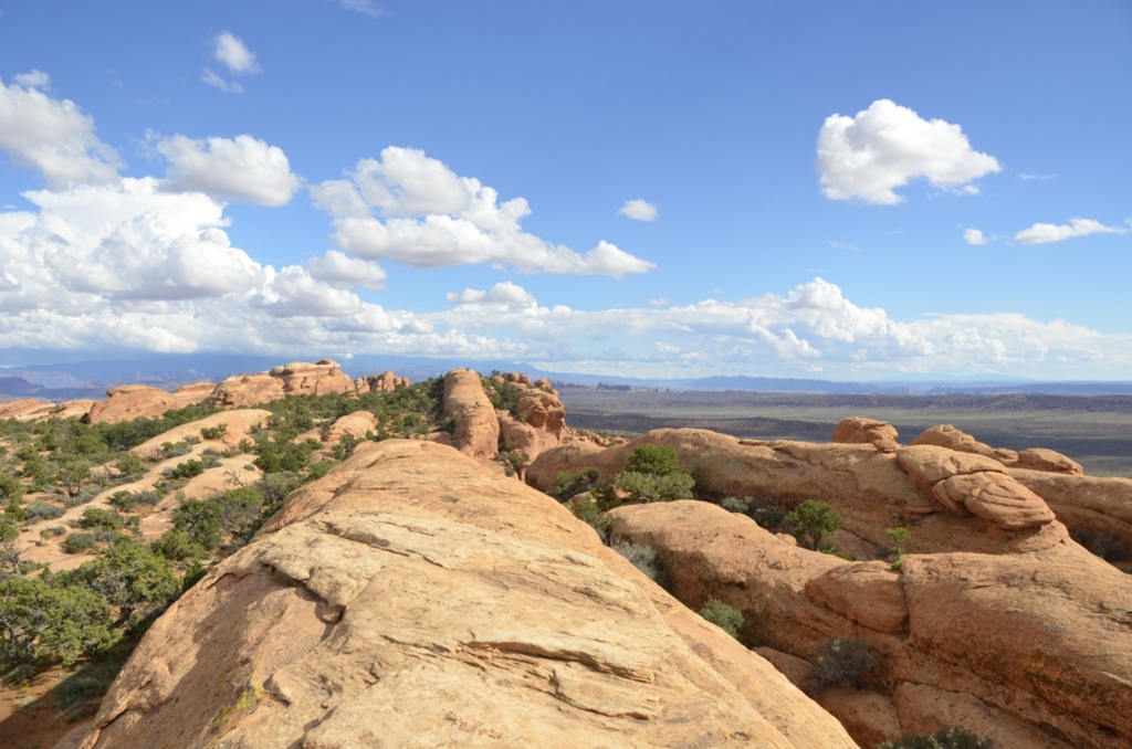 f:id:T_TAPER:20150727165804j:plain