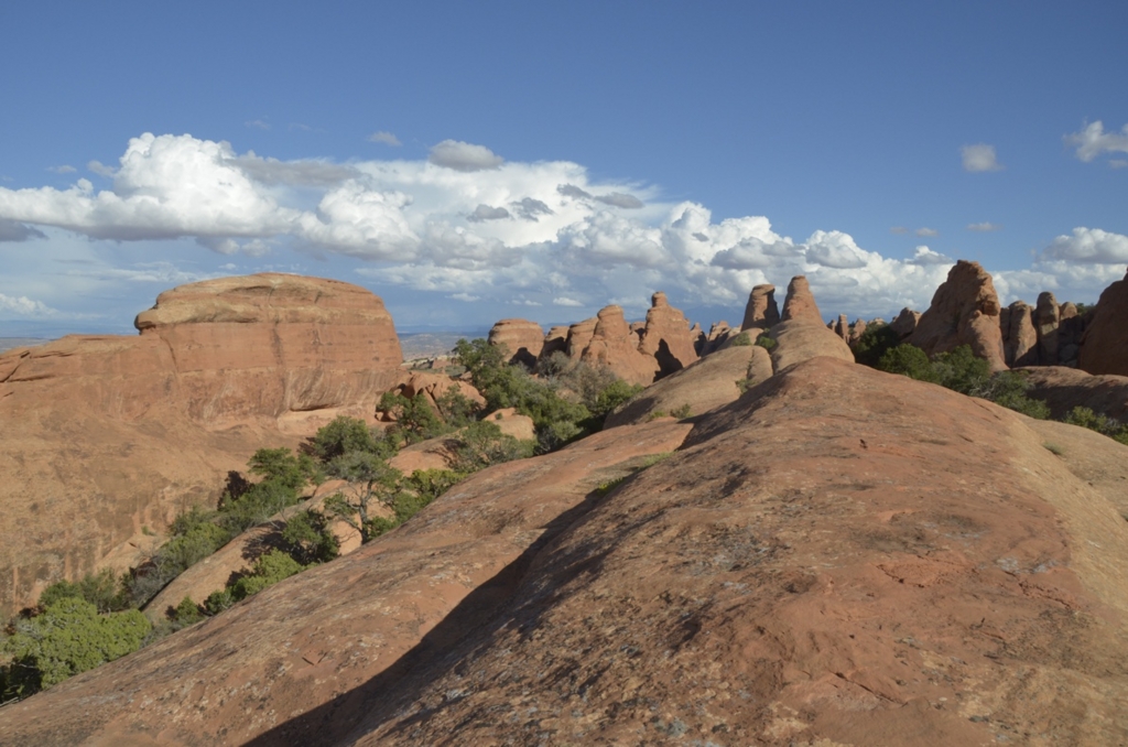 f:id:T_TAPER:20150727165828j:plain