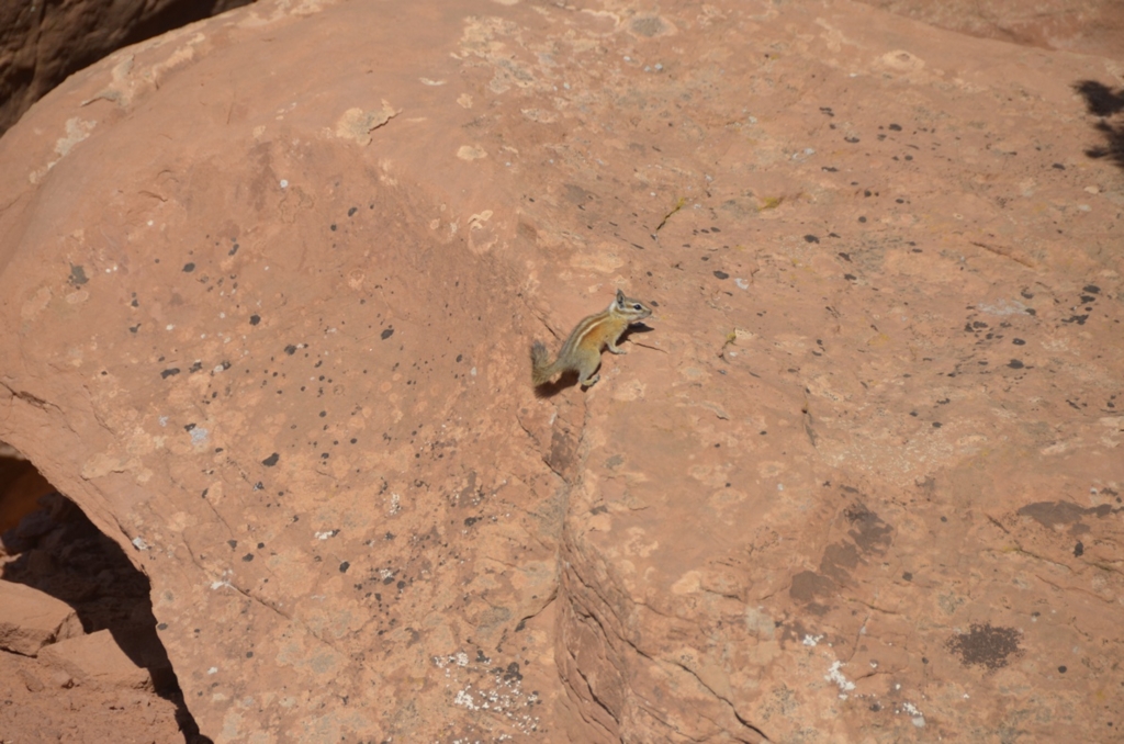 f:id:T_TAPER:20150727165856j:plain