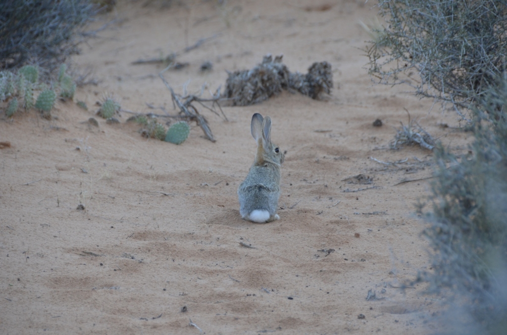 f:id:T_TAPER:20150727165920j:plain