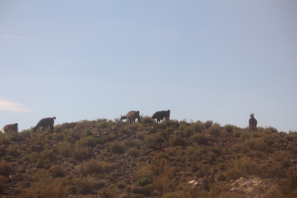 f:id:T_TAPER:20160220193151j:plain