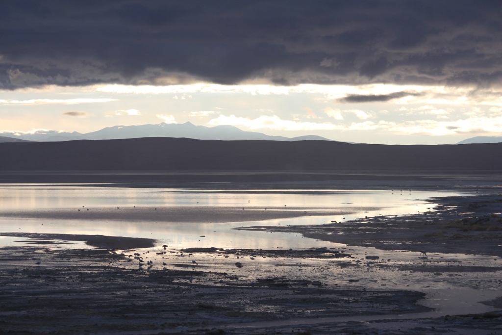 f:id:T_TAPER:20160223155630j:plain