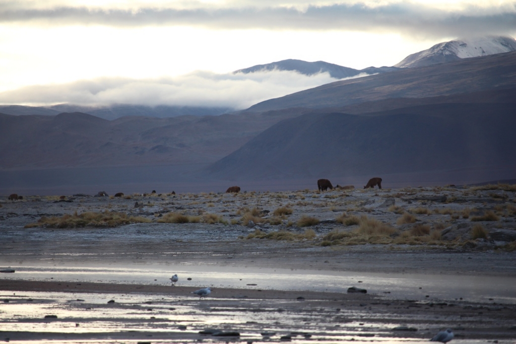 f:id:T_TAPER:20160223155700j:plain