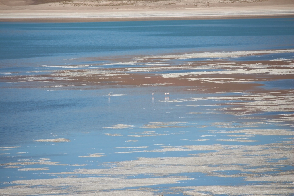 f:id:T_TAPER:20160223155931j:plain