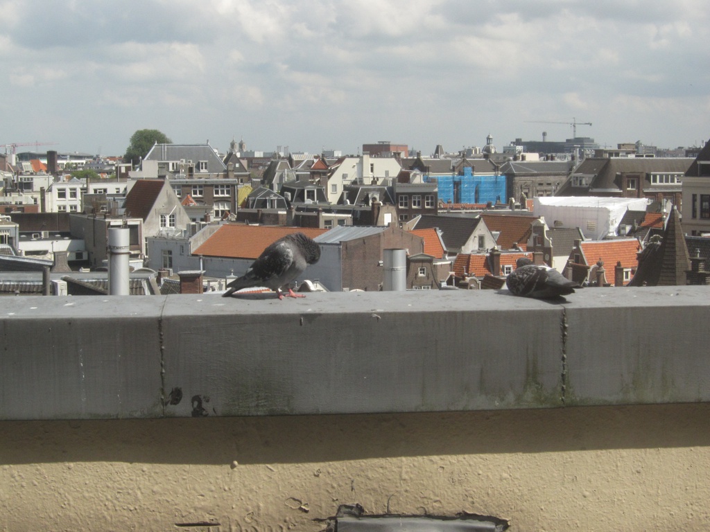 f:id:T_TAPER:20160520011838j:plain