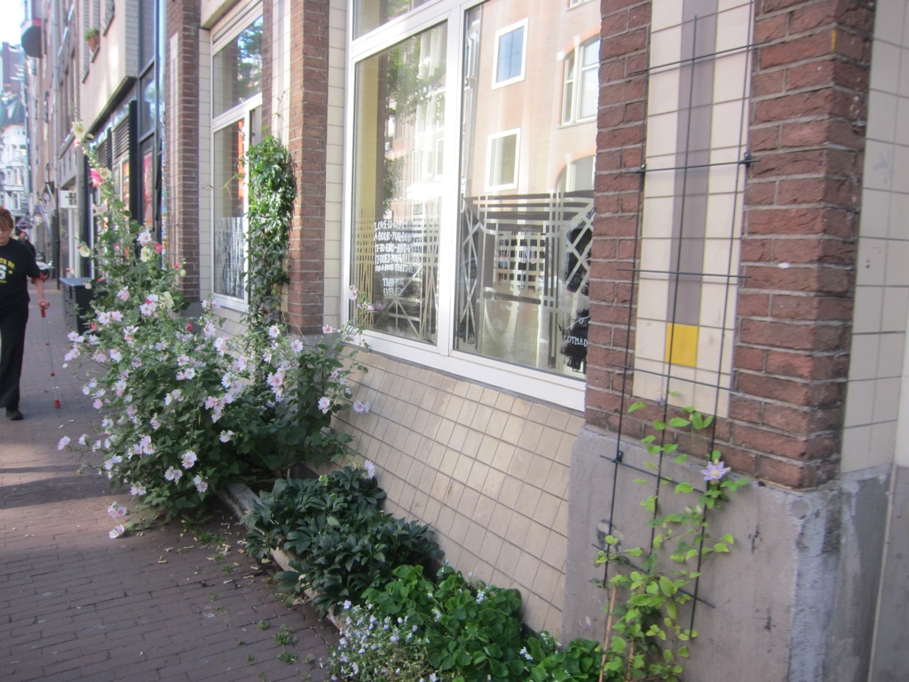 f:id:T_TAPER:20160520014254j:plain