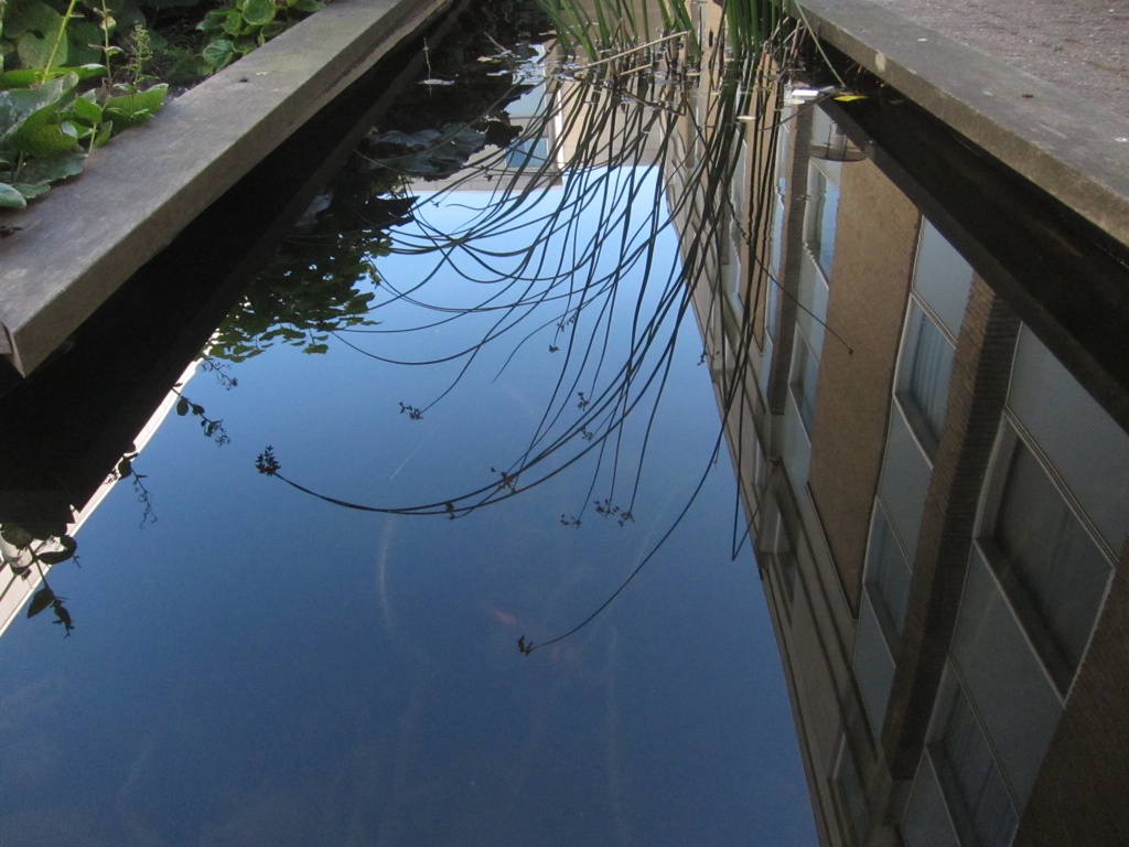 f:id:T_TAPER:20160823011440j:plain