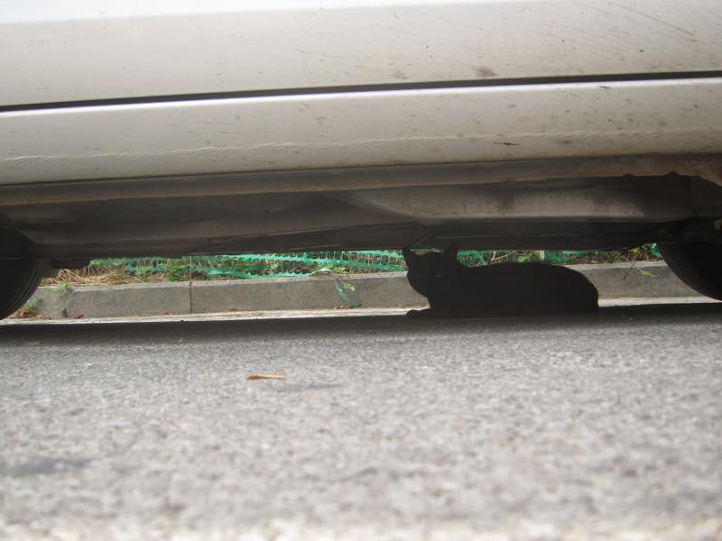 f:id:T_TAPER:20161019235019j:plain