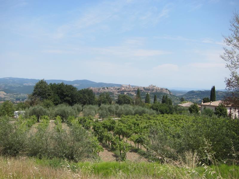 f:id:T_TAPER:20161020000351j:plain