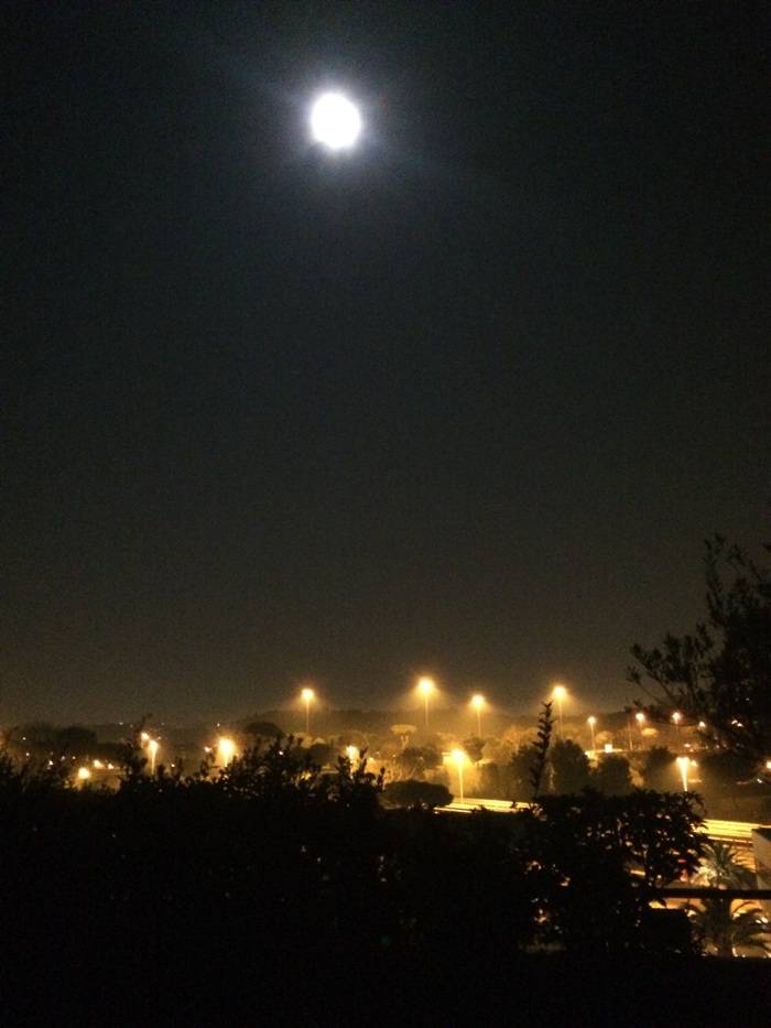 f:id:T_TAPER:20170103082802j:plain