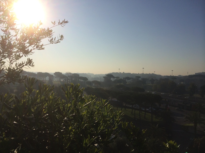 f:id:T_TAPER:20170103082822j:plain