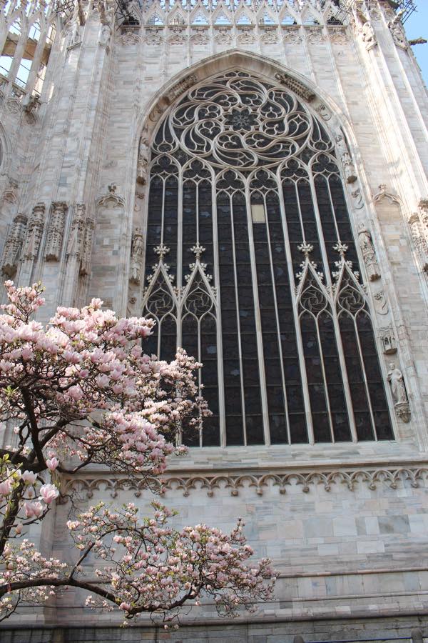 f:id:T_TAPER:20170127223015j:plain