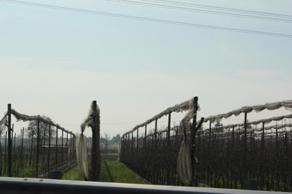 f:id:T_TAPER:20170127224230j:plain