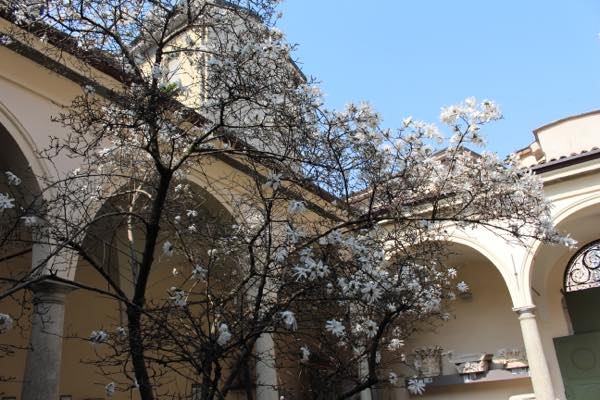 f:id:T_TAPER:20170127225014j:plain