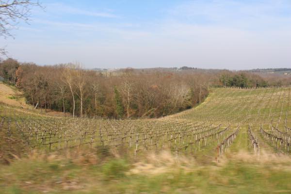 f:id:T_TAPER:20170128042924j:plain