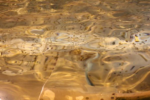 f:id:T_TAPER:20170131073620j:plain