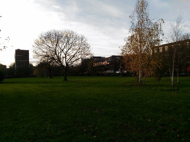 f:id:T_TAPER:20170131102739j:image