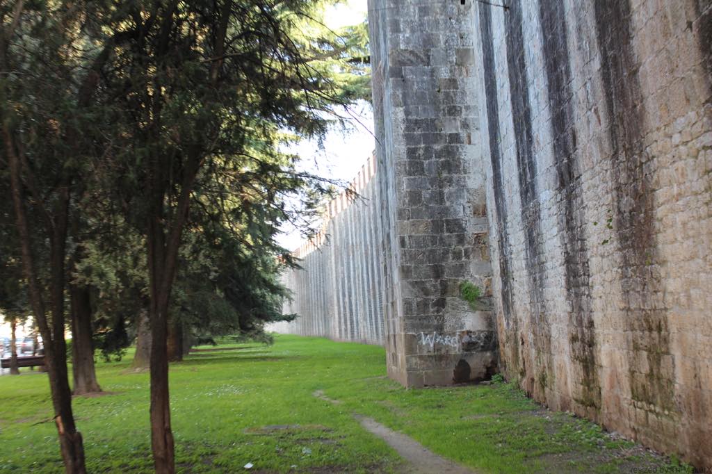 f:id:T_TAPER:20170223075749j:plain